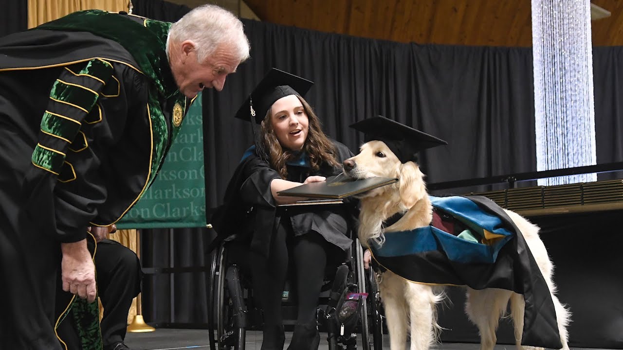 Service Dog Gets Graduation Diploma While Walking Across Stage with Student