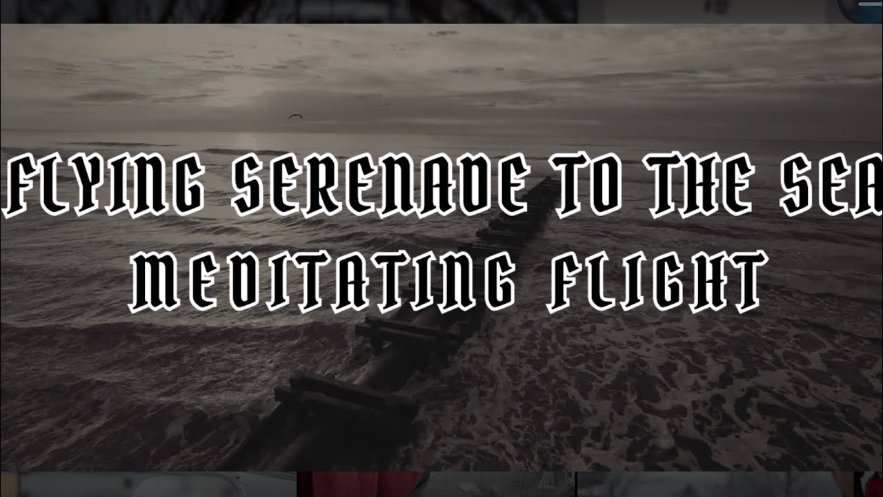Flying serenade to the sea 