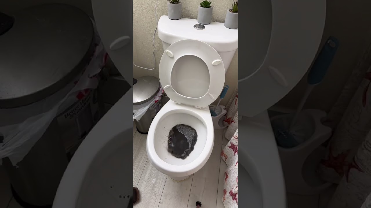 ASMR Steam cleaning a heavily pet stained bedroom perfect for nesting moms 
