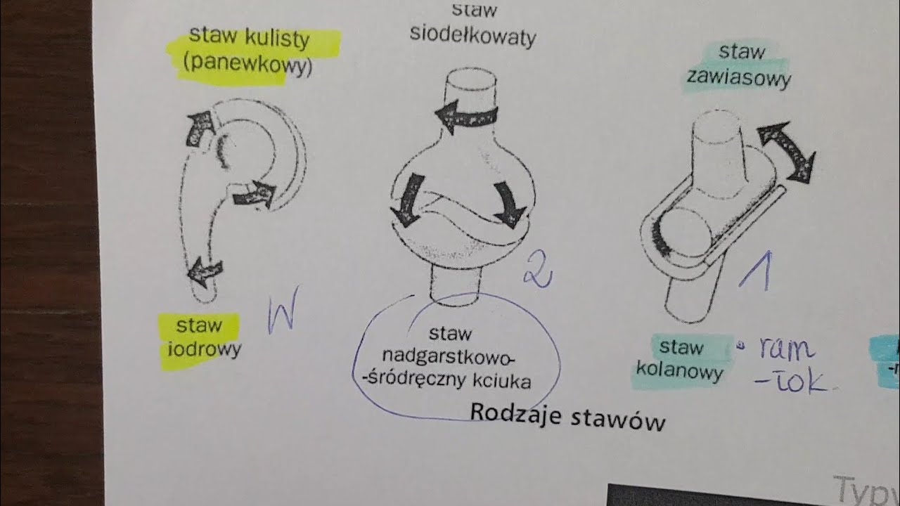 RODZAJE STAW&Oacute;W-połączenia ścisłe i ruchome