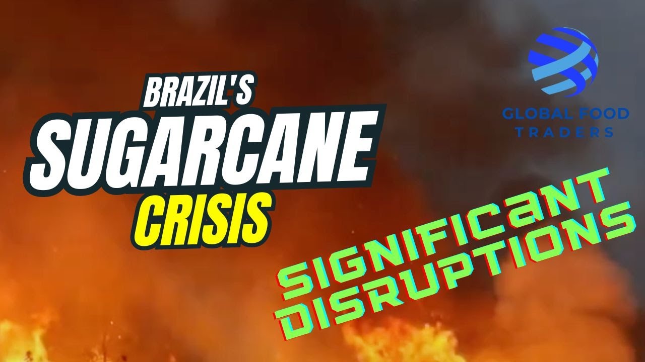 Brazil's Sugarcane Crisis  Global Impact 2024 08 28 @globalfoodtraders.world
