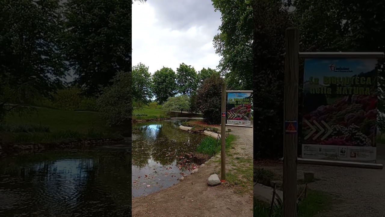 Laghetto  del parco della Burcina  a Pollone ( Biella )🦎