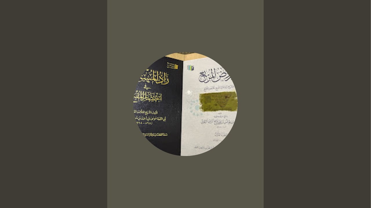 بدأت قناة 