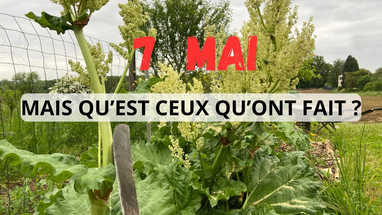 En MAI fait ce qu'il te PLAIT !