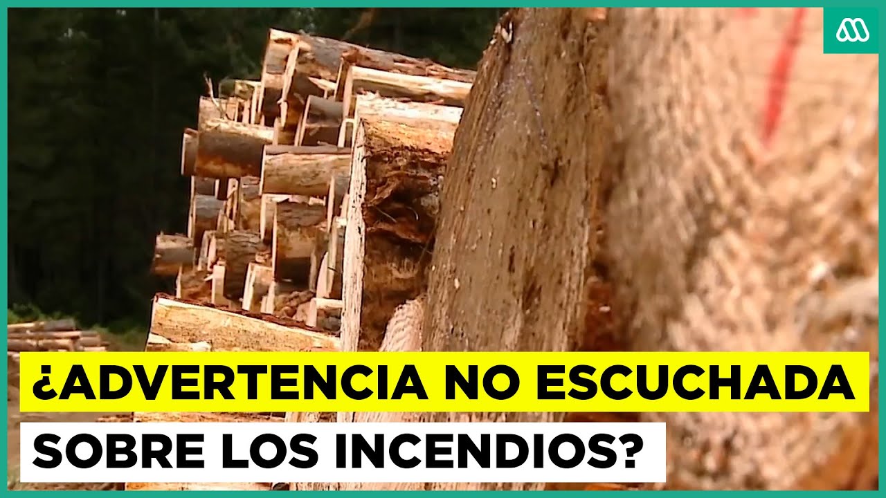 ¿Advertencia no escuchada? El aviso sobre el riesgo de incendios catastróficos en el Gran Concepción
