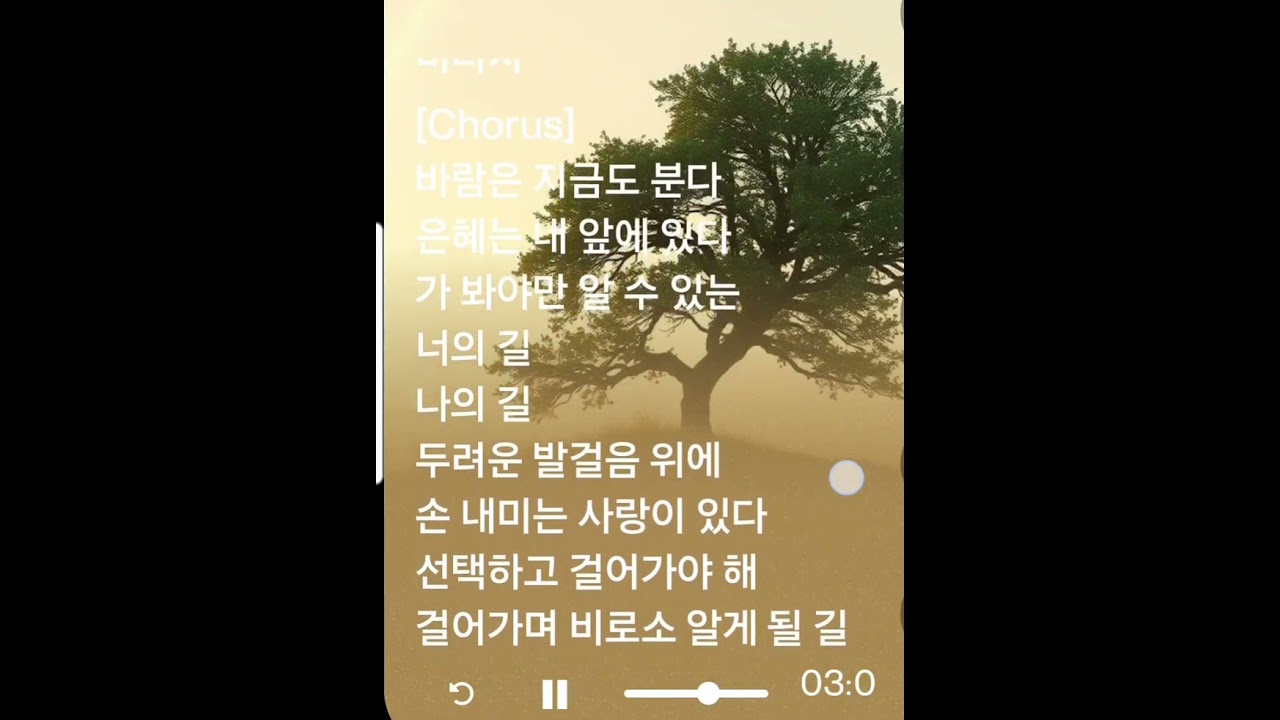 바람이 불고 있다