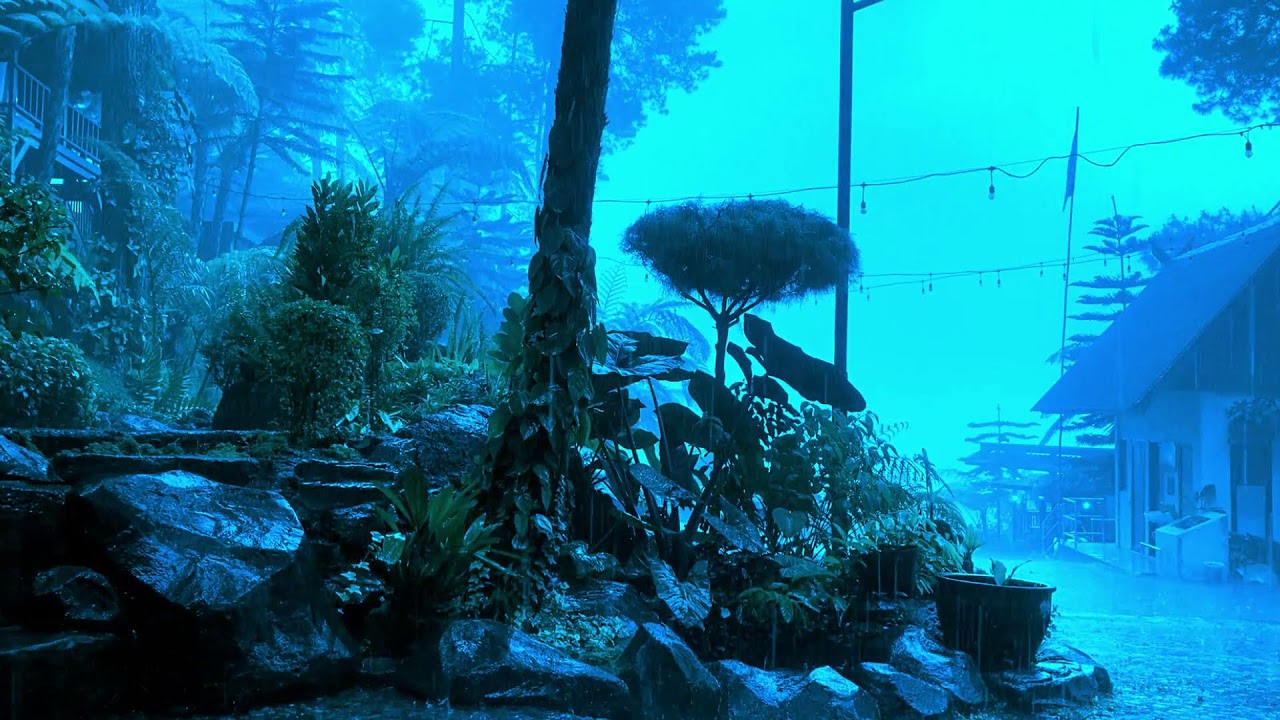 Don’t Watch If You Need to Stay Awake… Heavy Garden Rain at Midnight