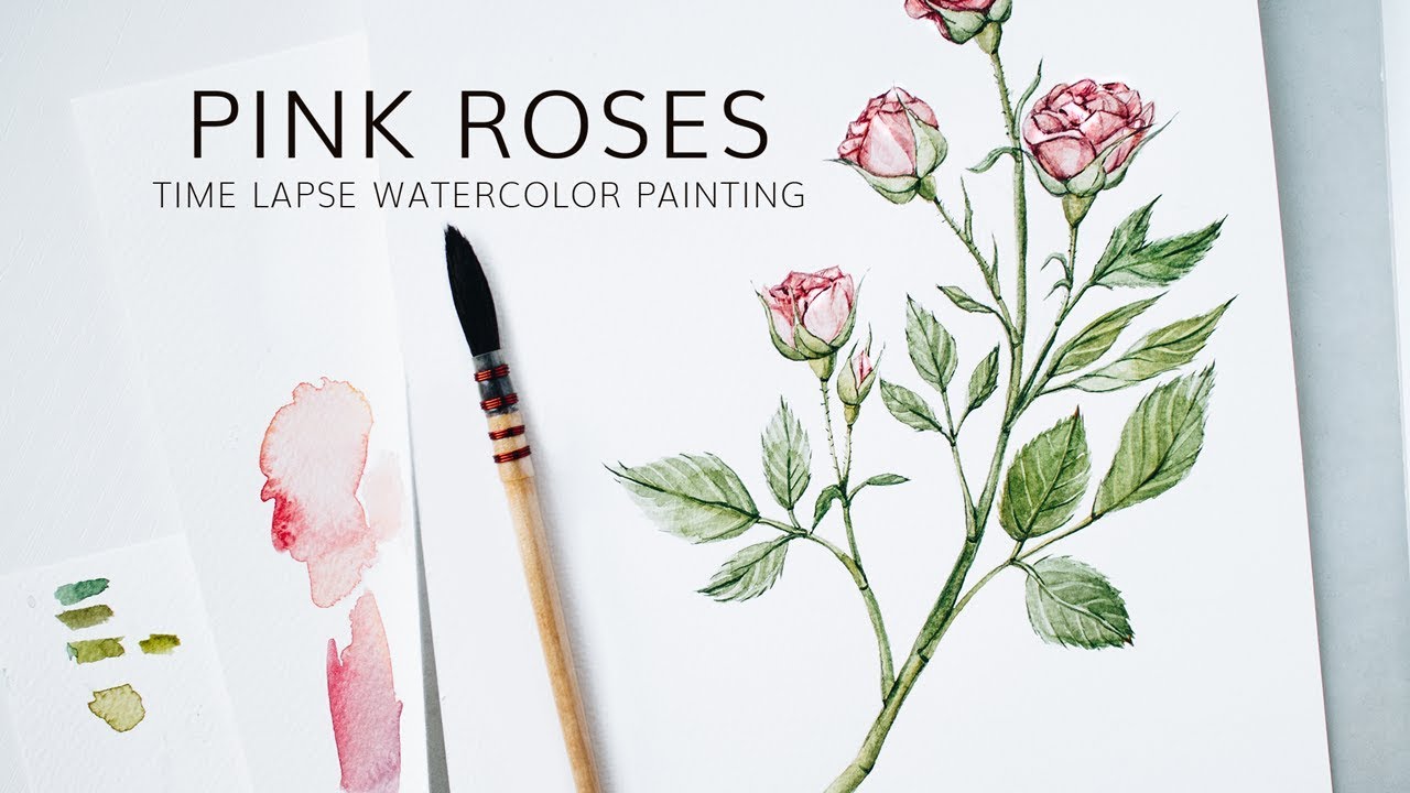 Pink roses watercolor painting · Botanical Illustration Time Lapse
