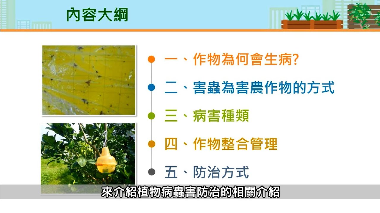 都市農業-植物病蟲害防治概論（含植保資材調製及施用操作）