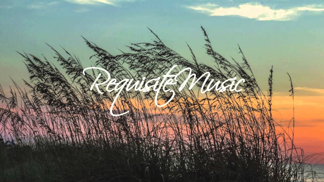 Mumford & Sons - I Will Wait (Bloombox & Sam Feldt Remix)
