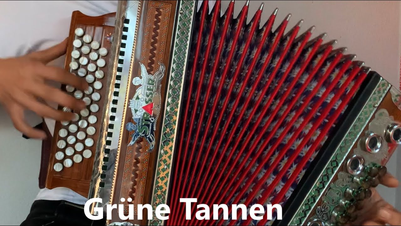 Grüne Tannen - Steirische Harmonika