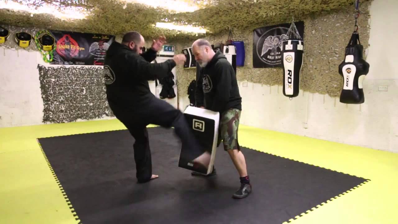 Krav Maga Low Kick: Try This  Pre Emptive Variation