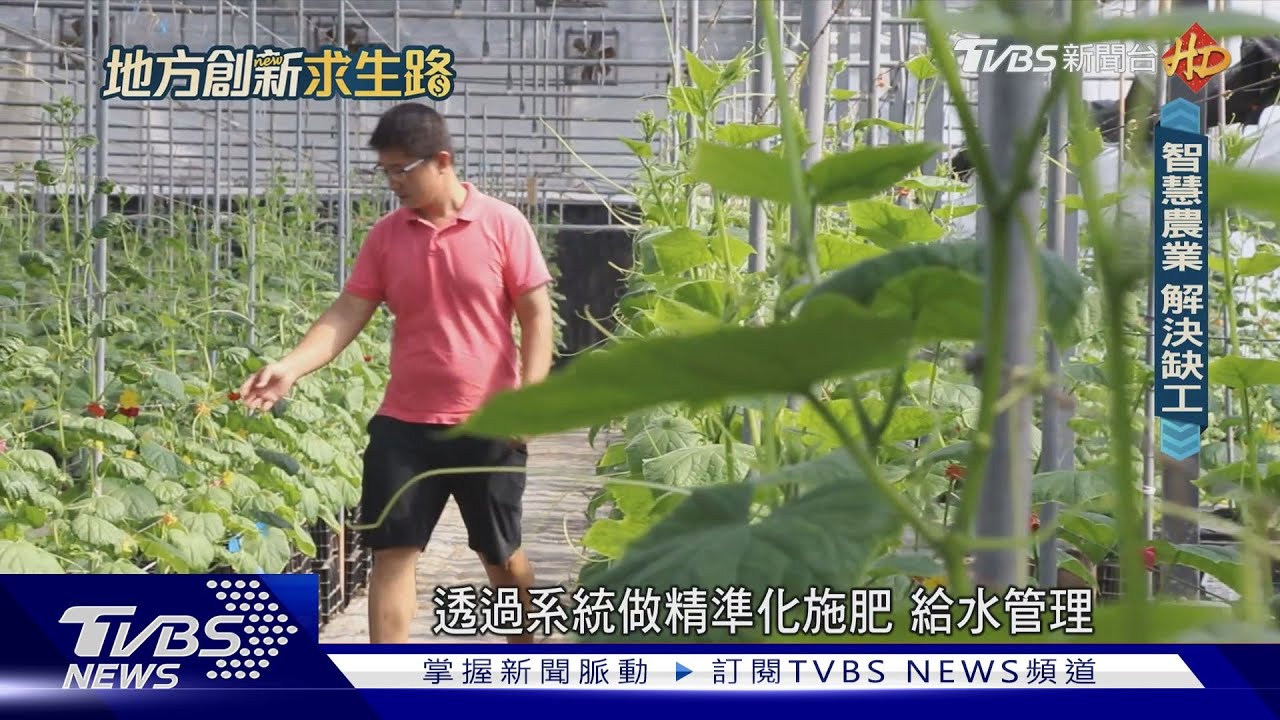 把農村變成迪士尼樂園 高學歷農夫為智慧農業鋪路｜地方創新求生路｜TVBS新聞 @TVBSNEWS01