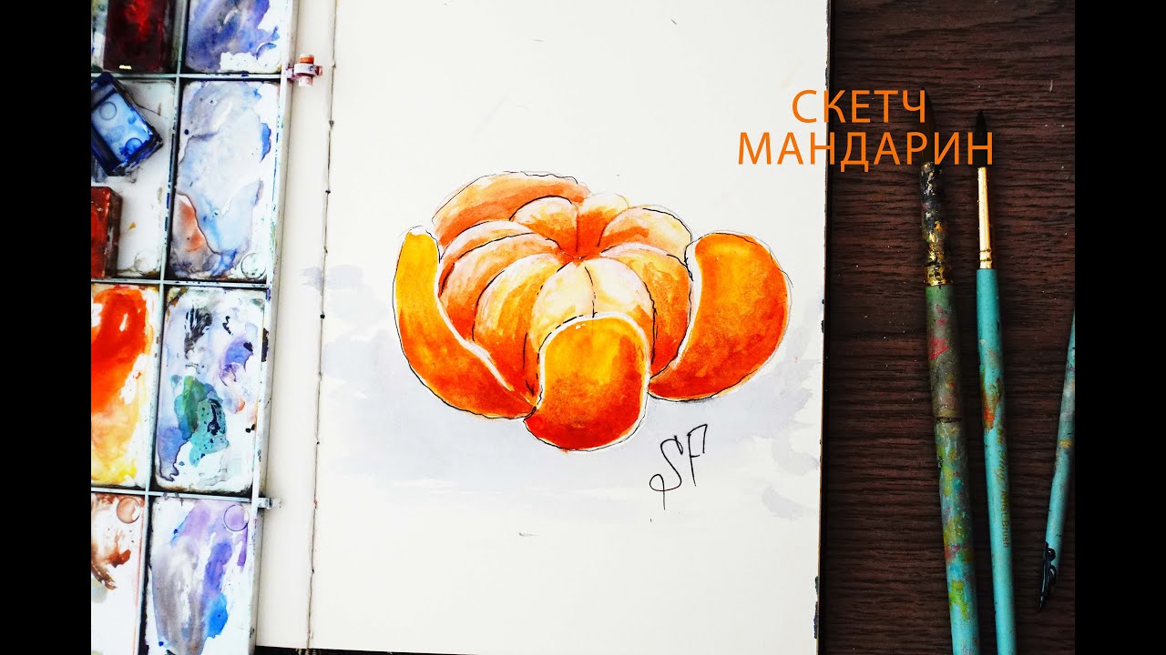 МАНДАРИН АКВАРЕЛЬЮ СКЕТЧ