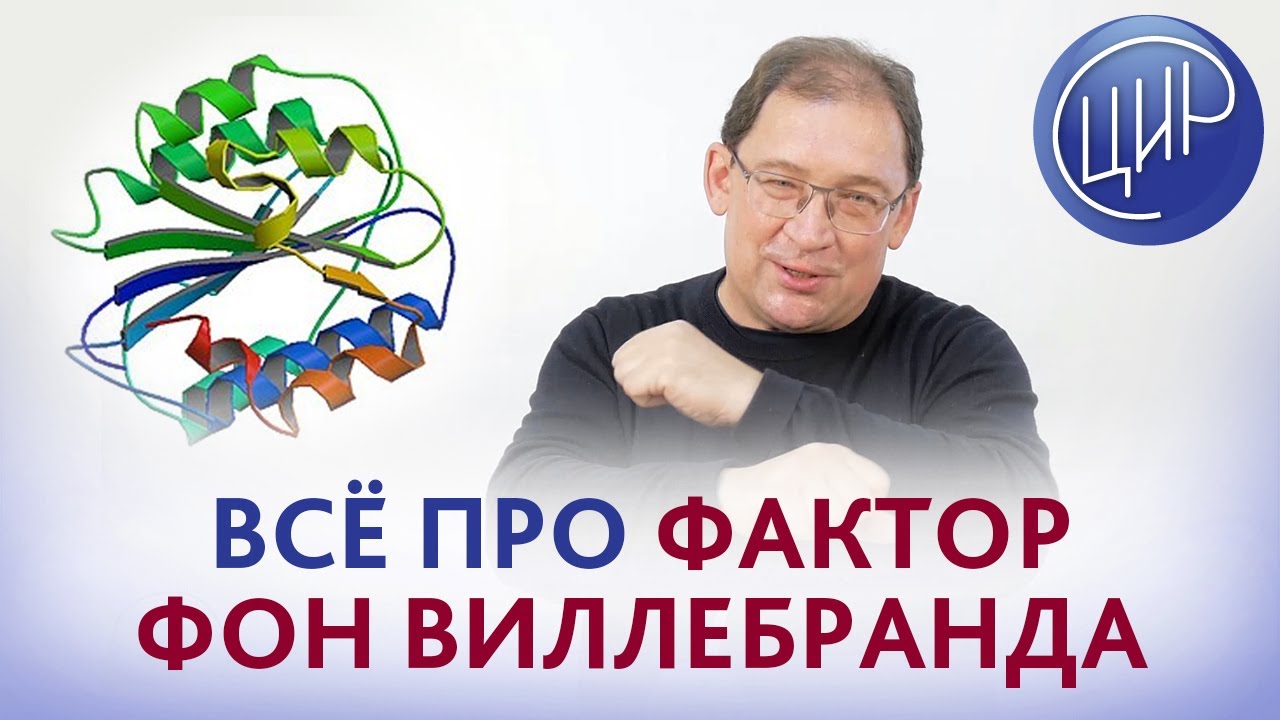 Фактор фон Виллебранда. Всё самое важное про фактор фон Виллебранда. Рассказывает Гузов И.И.