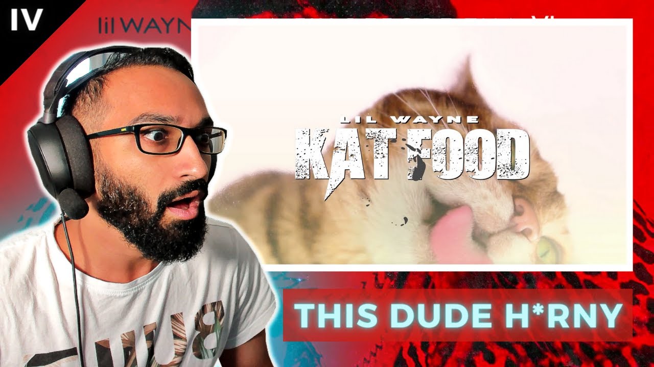 Lil Wayne - Kat Food (FIRST REACTION!) | Tha Fix Before Tha VI Full Album REACTION