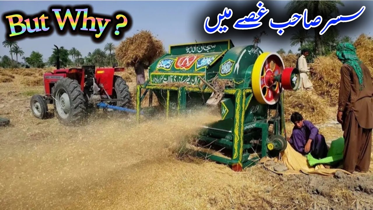 Dasi Mahool ma gandam ki gawai || Mangla dam ka beautiful view || Mirpur azad kashmir 2024