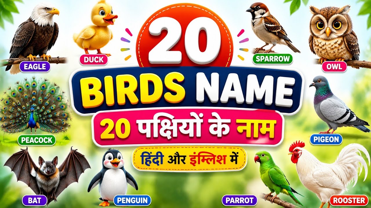 20 Birds Name in English and Hindi | पक्षियों के नाम | Kids Learning Video l Learn 20 Birds Name 