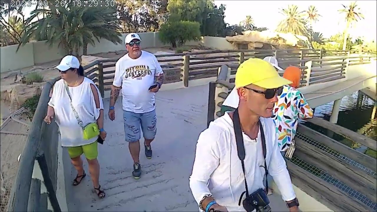 farma krokodyli 2023 djerba
