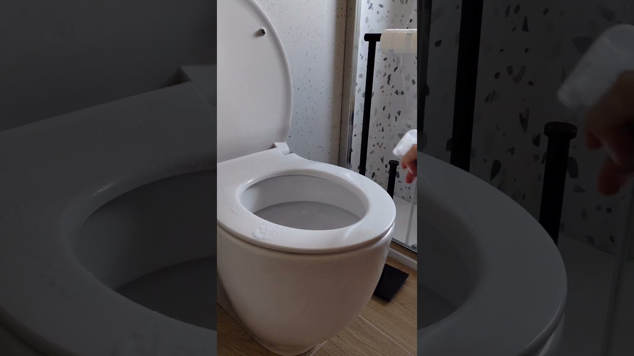 come igienizzare VERAMENTE i sanitari?