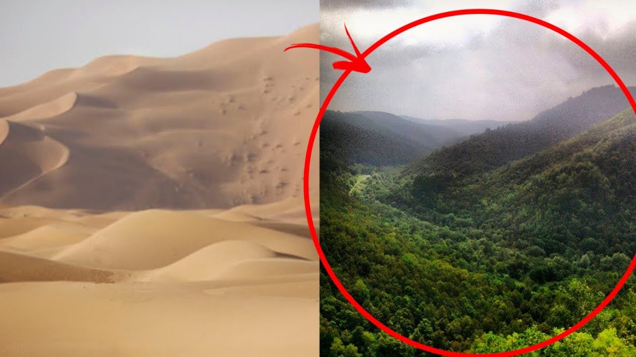 Kako su Kinezi Pretvorili Pustinju u Cvjetne Vrtove