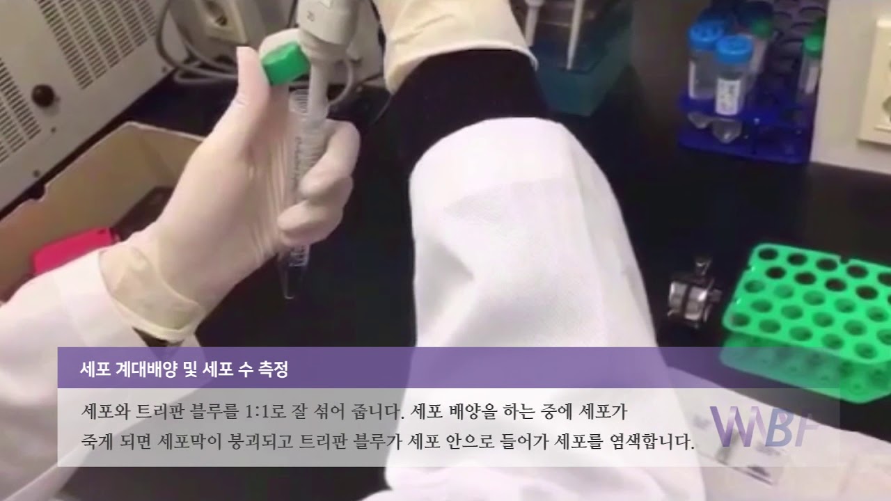 세포 계대배양 및 세포 수 측정