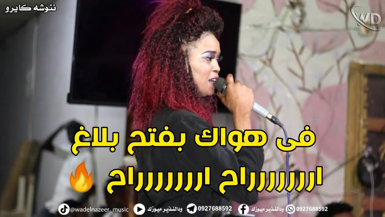 في هواك بفتح بلاغ _ ننوشه كايرو _ كرنقو الدولى _ مجدى زيكو _ ودالنذير ميوزك _ جديد وحصرى _New2022