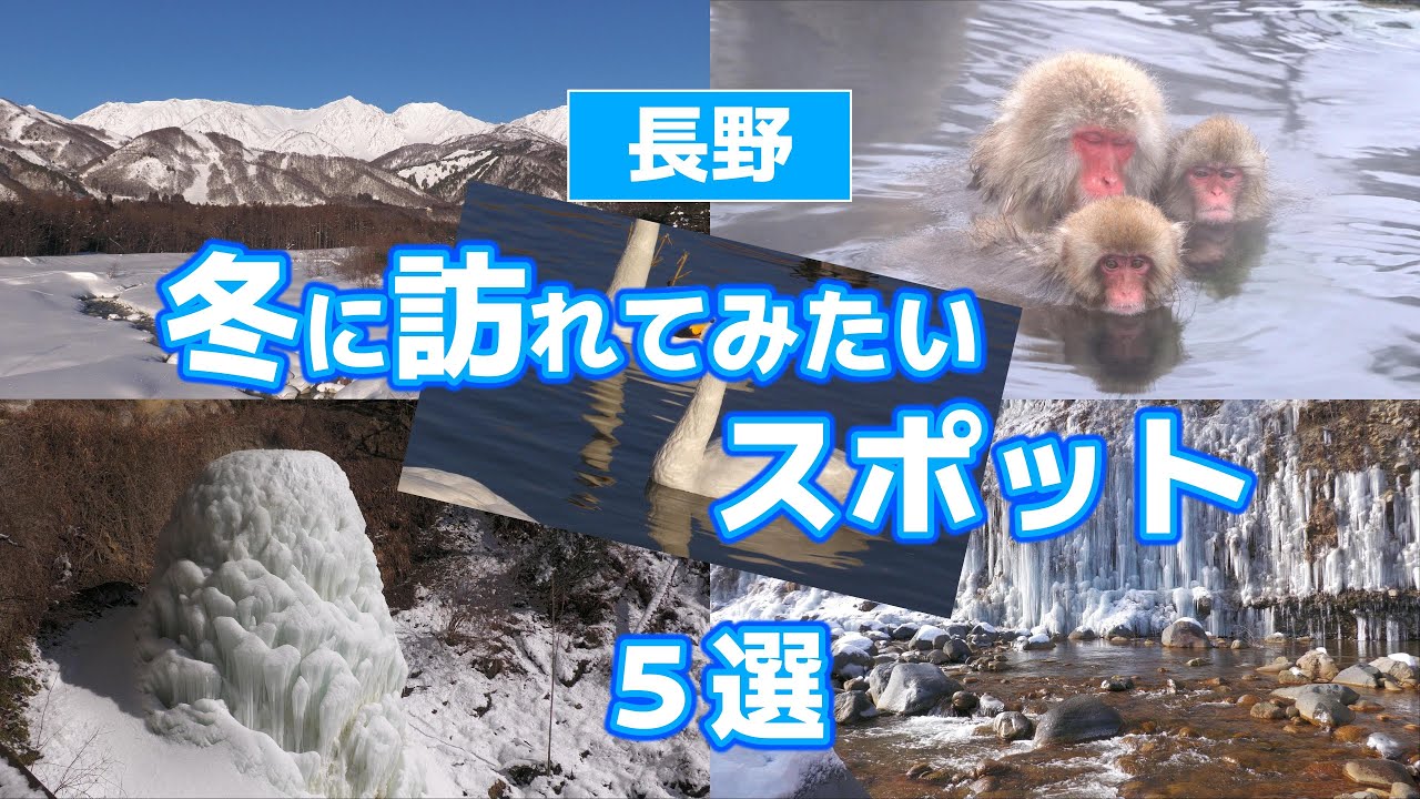 長野　冬に訪れてみたいスポット５選【白馬村・白川氷柱群・八坂の大滝・地獄谷野猿公苑・御法田遊水地】