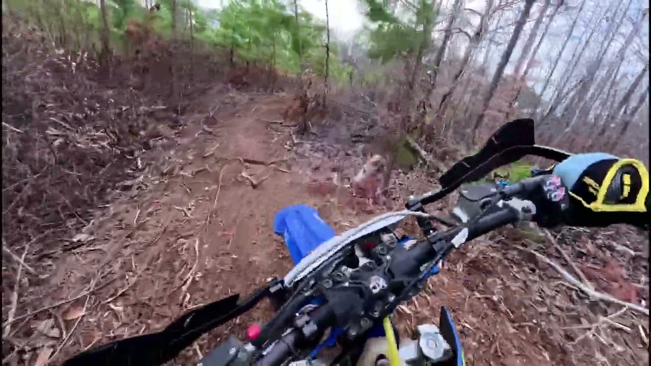 First ride!  Sherco 250 SE-R:  NATRA club property West Point, TN.  New trail