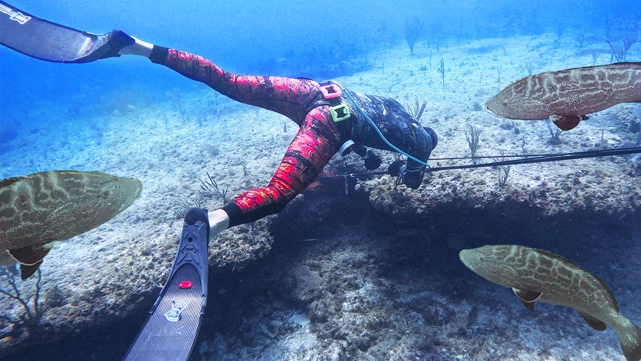 So Many Different FISH!! All on Primitive POLESPEAR! Amazing Bahama Diving!