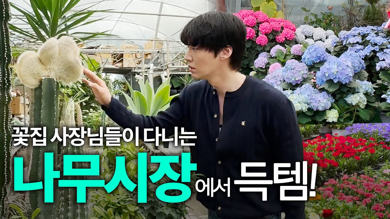[SUB] 꽃집 사장님들이 다닌다는 과천화훼 단지에서 득템했어요