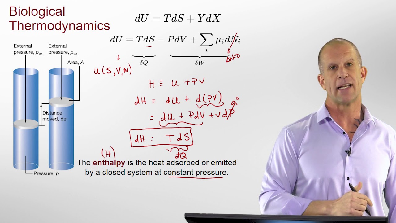 Introduction to Biological Thermodynamics