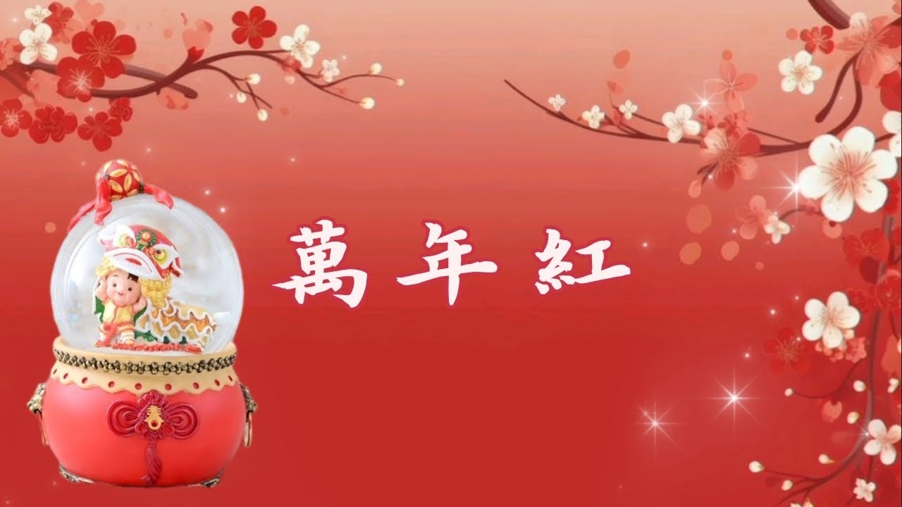 传统新年歌 《万年红》 新年音乐盒 🔮 卡拉ok/伴奏字幕/电子琴演奏