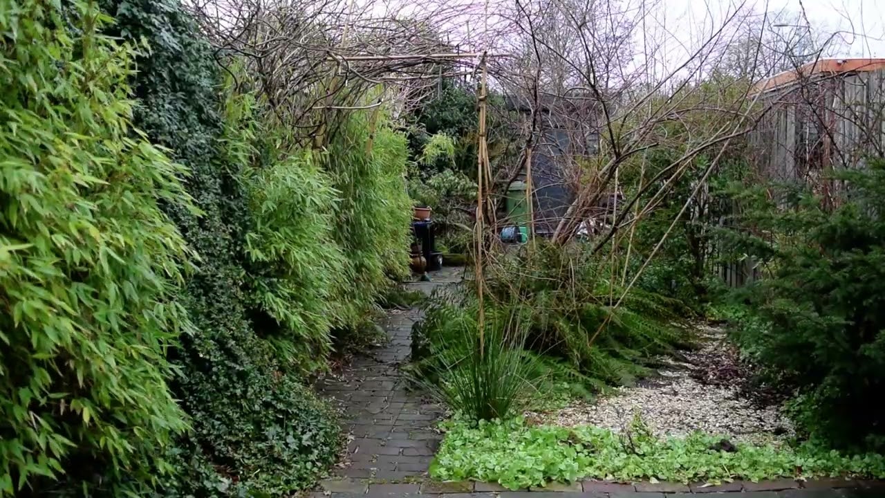 The boring Garden #081