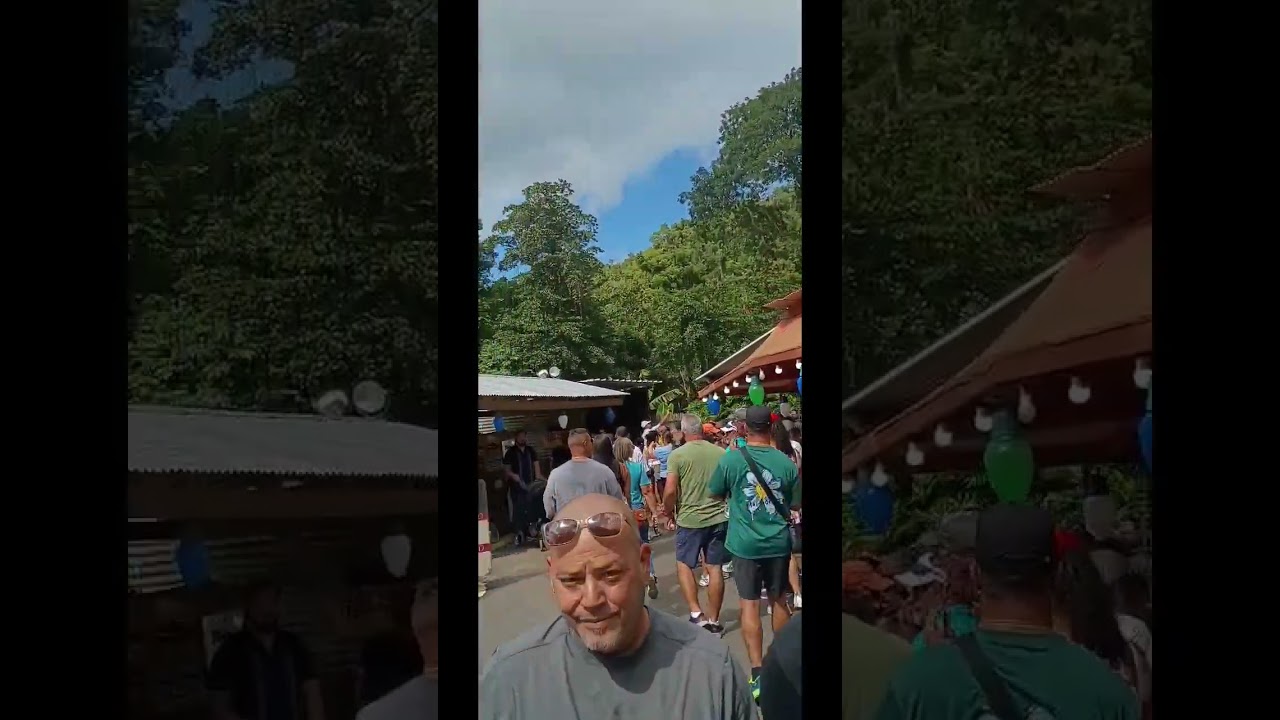 Festival Lágrimas del Monte Hacienda Doña Fela en Hatillo 🇵🇷🎄