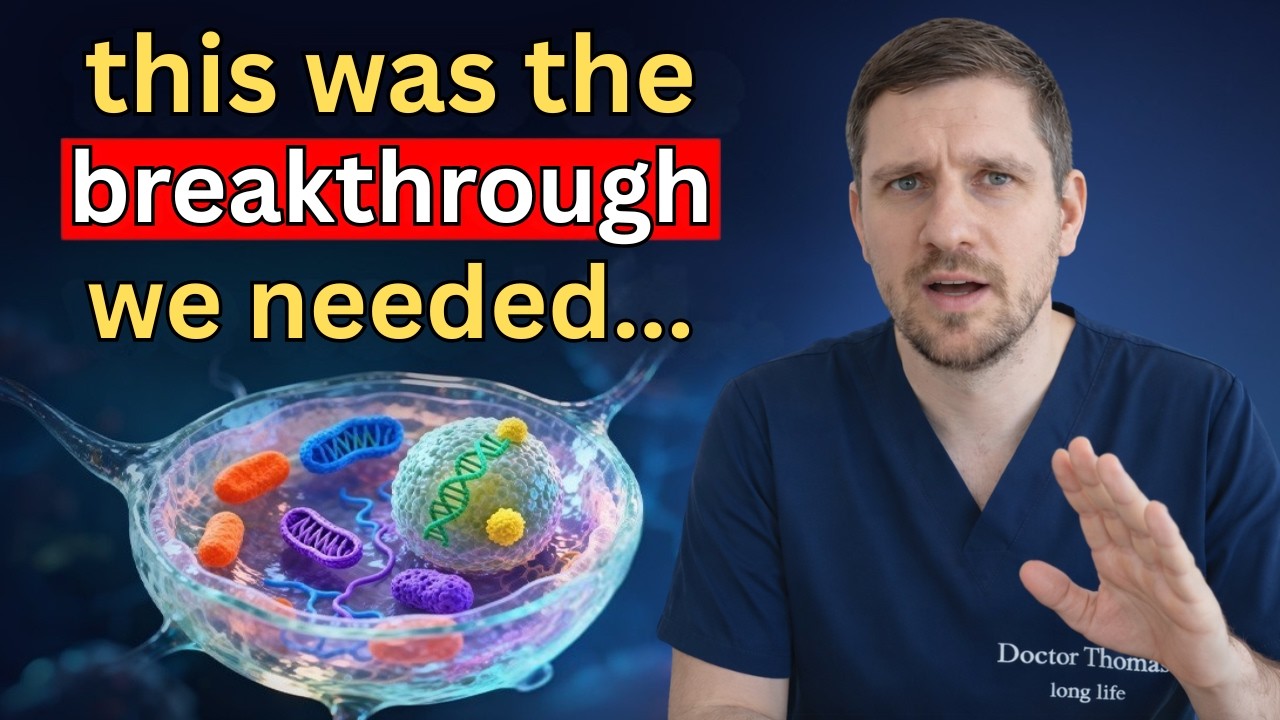 This Doubles Your Stem Cells in 30 Days — Eat These Foods Daily! | Dr. Thomas Morgan