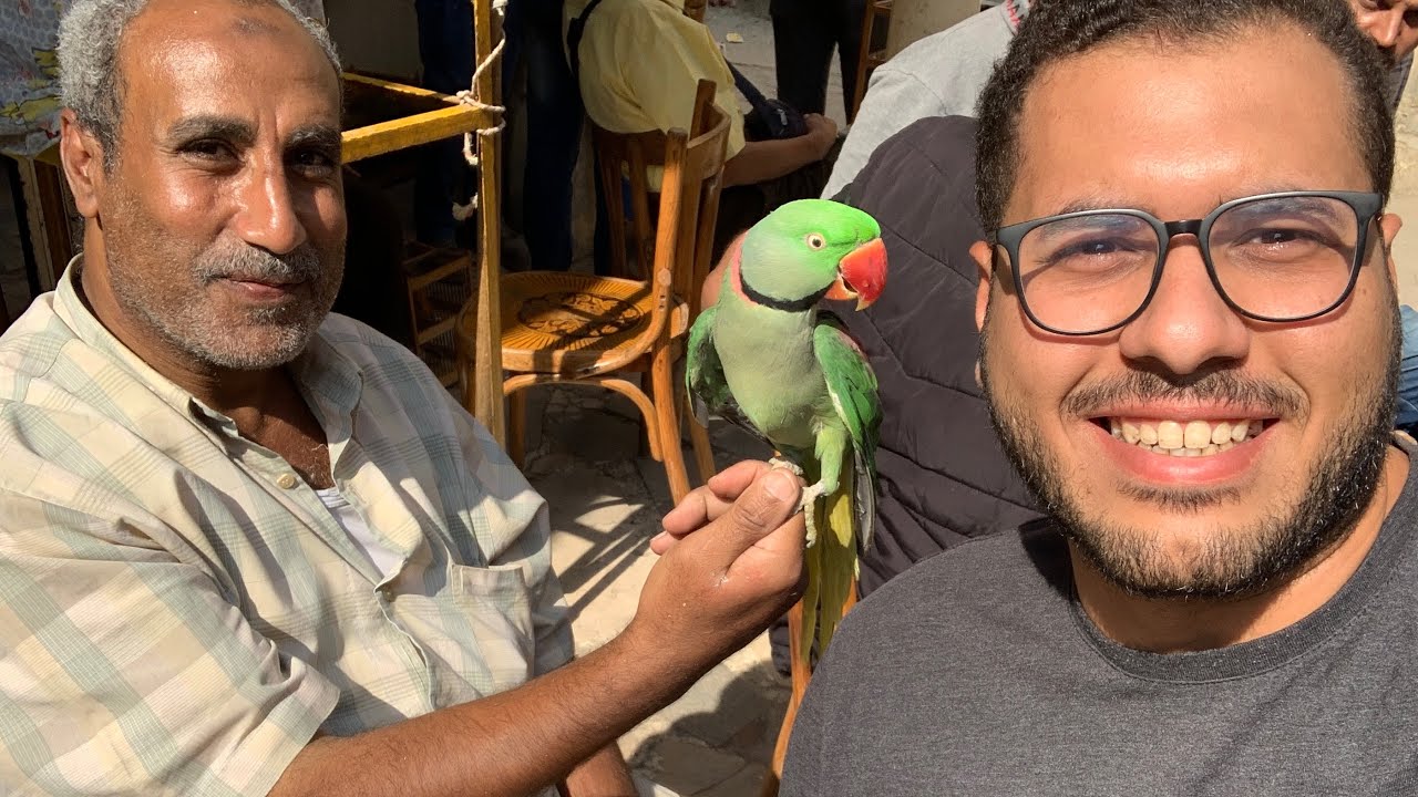 لقيت اجمل ببغاء في العالم في سوق الجمعة و المفاجأة لما فتحنا القفص علشان نخرجة 😰😍
