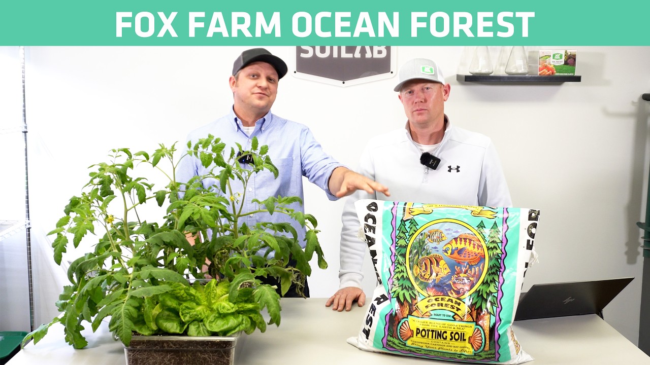 Fox Farms Ocean Forest Potting Soil Testing | Know Before You Grow