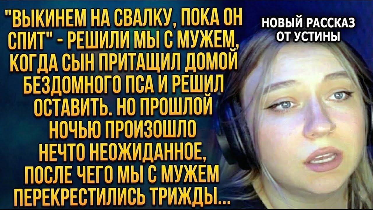 "Выкинь пса, пока он спит!" — кричал муж, не зная, чья на самом деле эта собака...