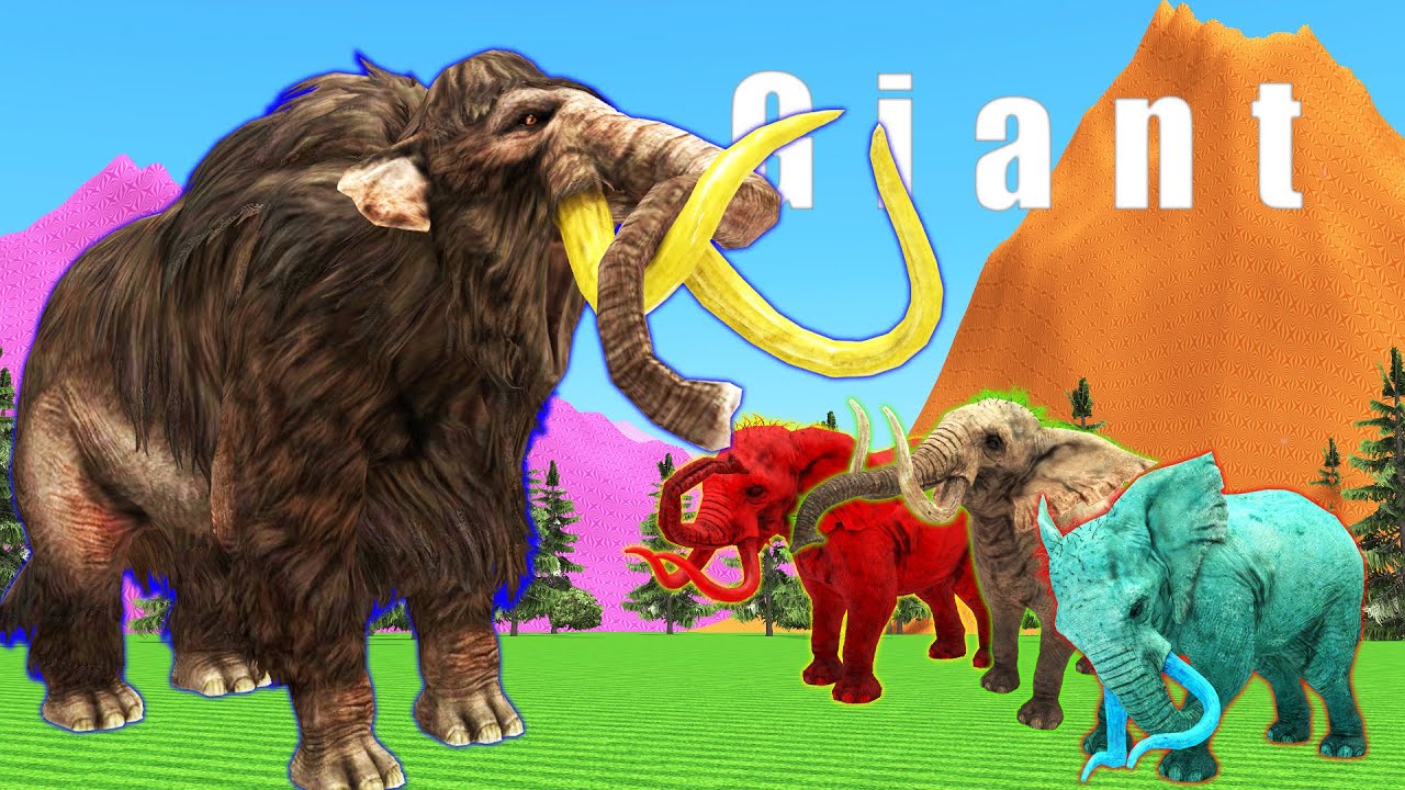 3 Elephants vs Giant Mammoth | Battle for watermelon
