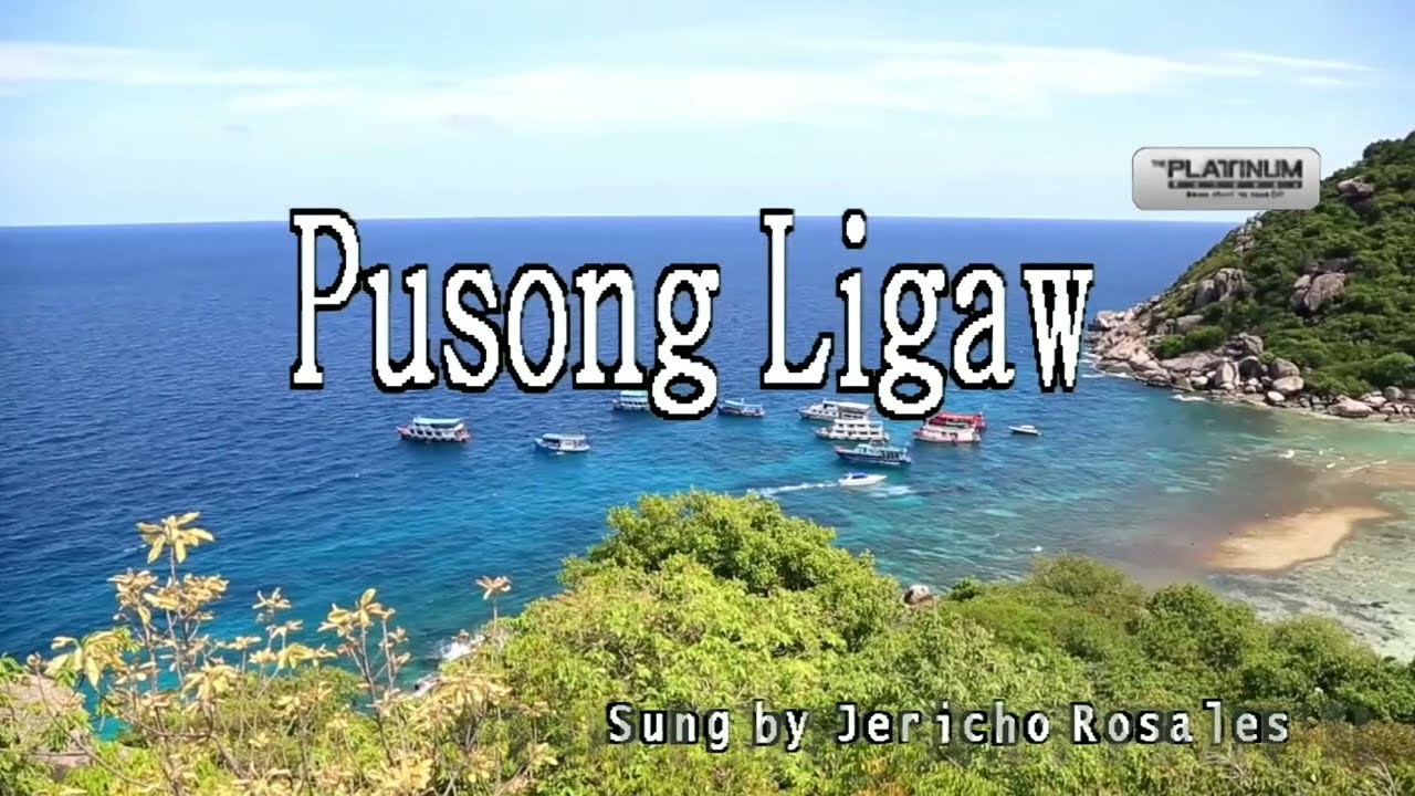 Jericho Rosales - Pusong Ligaw || Karaoke/Lyrics/Instrumental