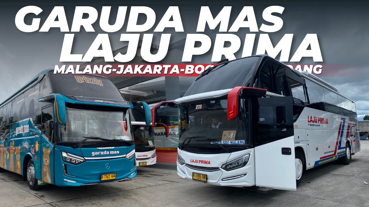 Bus Laju Prima 273 dan Garuda Mas Grizzly berangkat menuju Jakarta