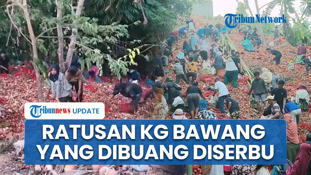 Viral Video Ratusan Kilogram Bawang Merah dan Bombai Dibuang ke Jurang, Warga Langsung Menyerbu