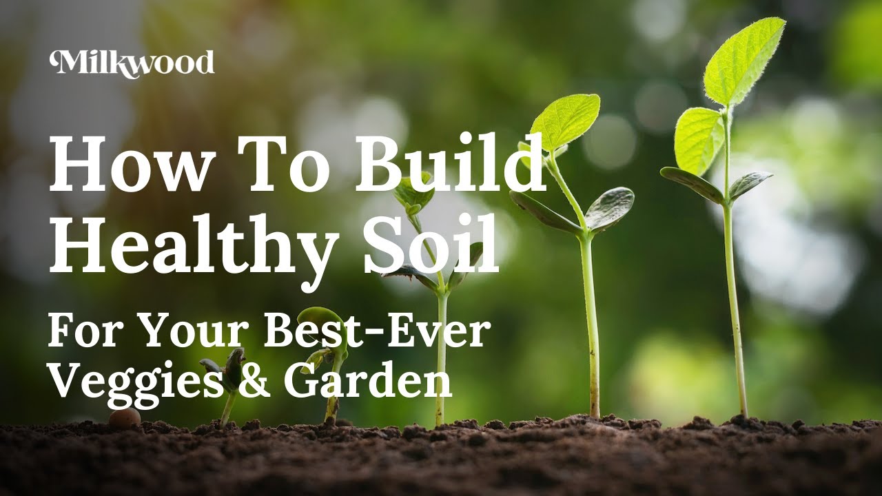 How To Build Healthy Soil - for Great Veggies! | Milkwood