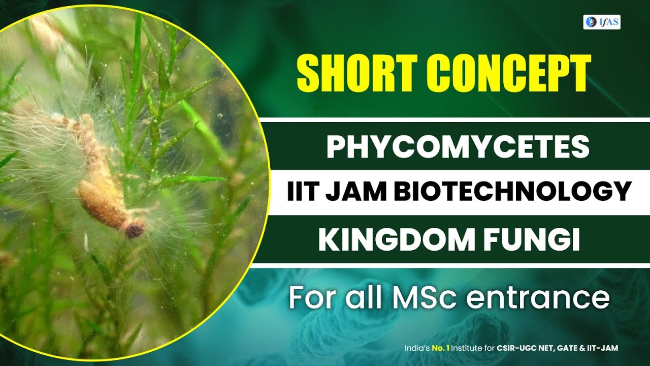 Phycomycetes IIT JAM Biotechnology | Kingdom Fungi | SHORT CONCEPT- For all MSc entrance exams