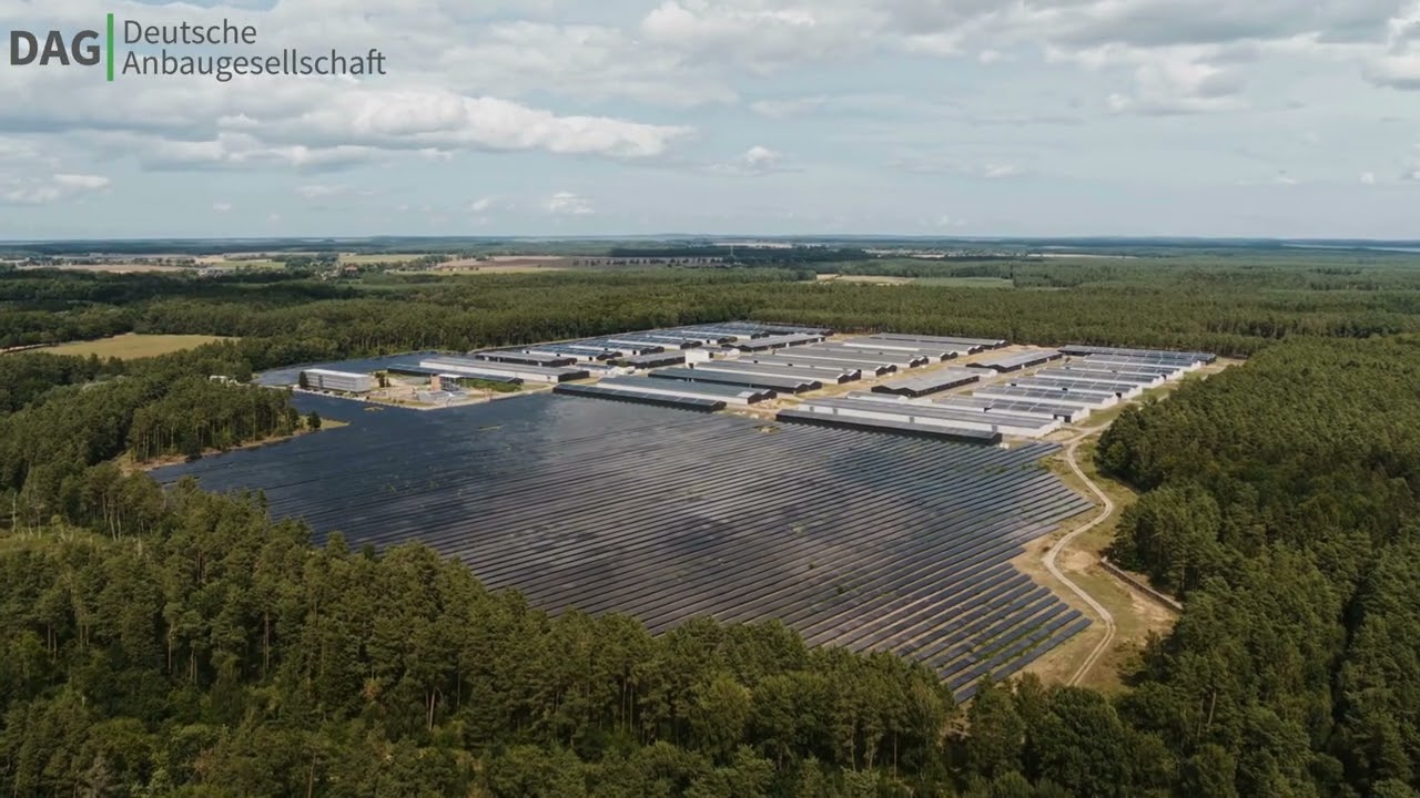 Wie funktioniert der Deutsche Cannabis Token (DECT) der Deutschen Anbaugesellschaft DAG?