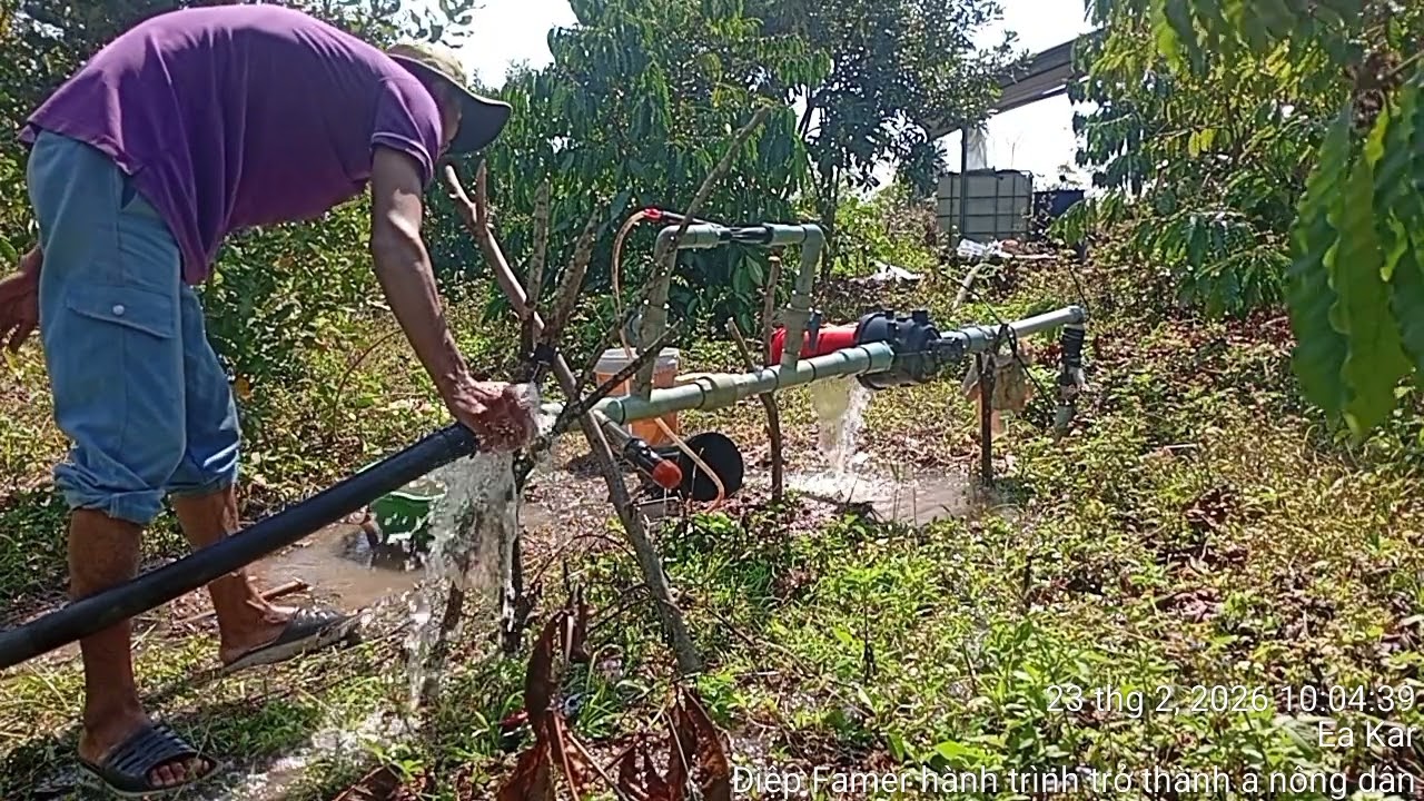 Vệ sinh bộ châm phân 