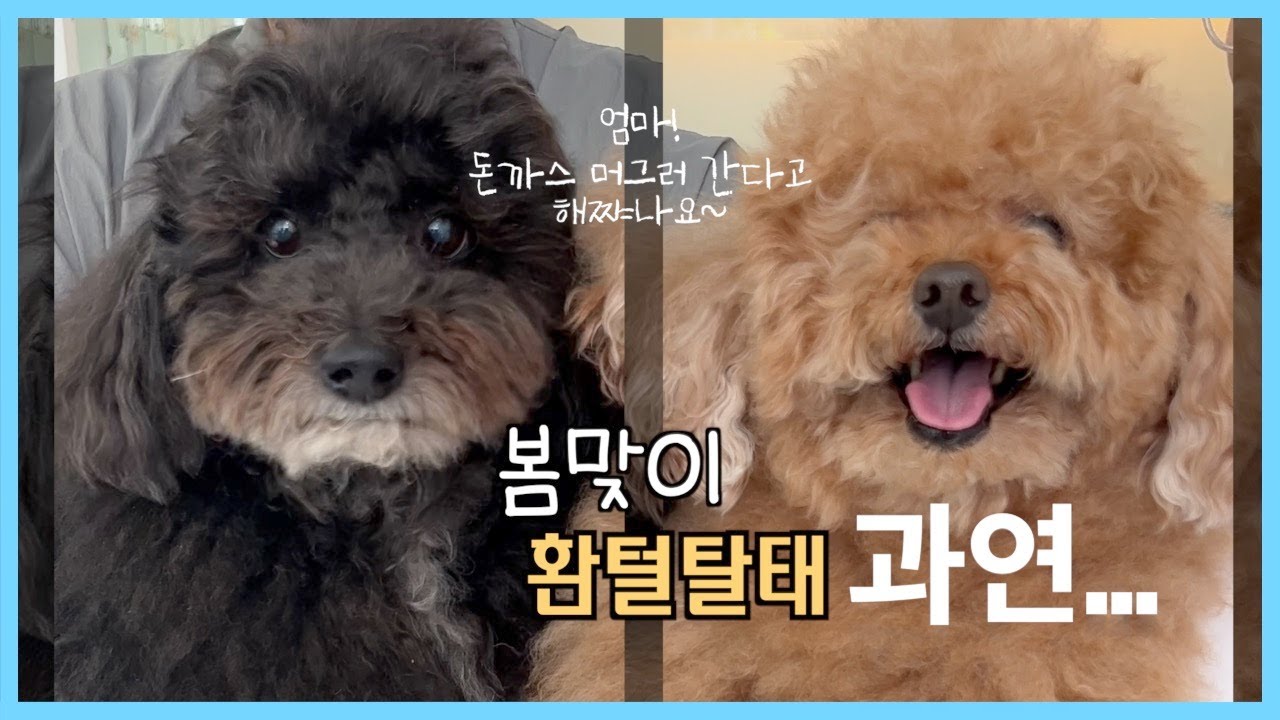 겨울 내내 길었던 털옷을 벗겼더니.. 누구세요?