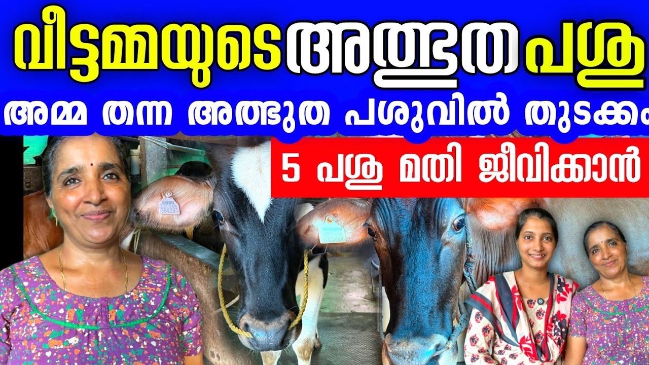 വീട്ടമ്മയുടെ അത്ഭുത പശുക്കൾ, വൻ ലാഭം, മറ്റൊരു ജോലിക്കും പോകണ്ട | successful lady farmer 