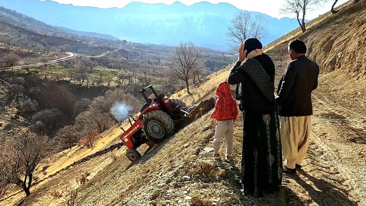 Plowing the field⛏️🌾🌳Brave tractor driver🚜🚜